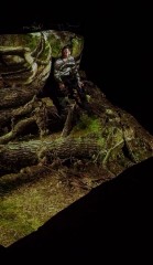 Dioramas