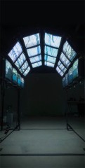 Les oiseaux, variation 1