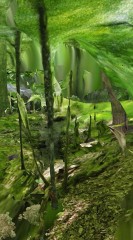Terrarium
